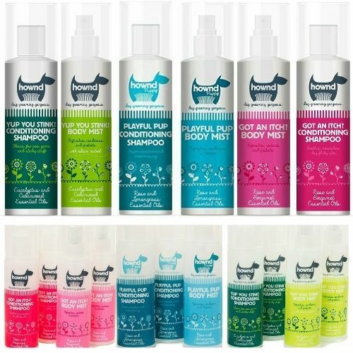 Hownd dog conditioning - ,