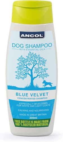Ancol dog shampoo blue - dog,