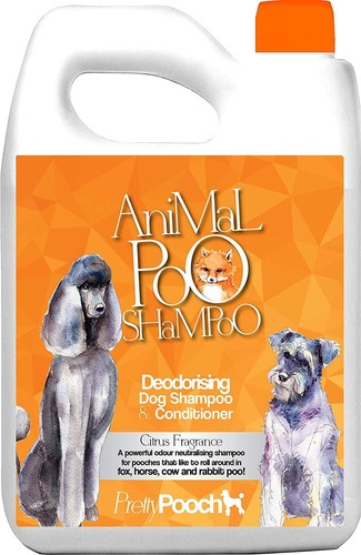 Fox poo dog - poo, shampoo