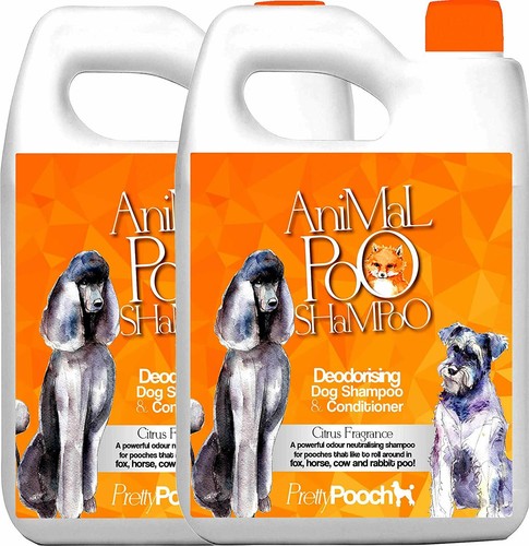 Fox poo dog puppy - fox,