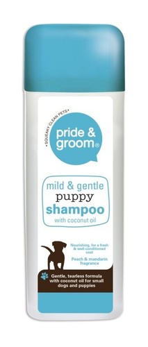 Pride groom mild gentle - groom,