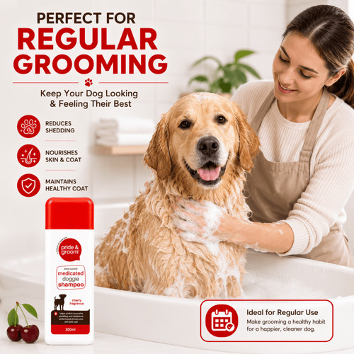 300ml medicated dog shampoo - medicated,