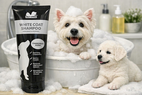 Pet pro white coat - pet,