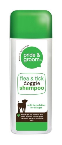 Pride groom flea - pride,